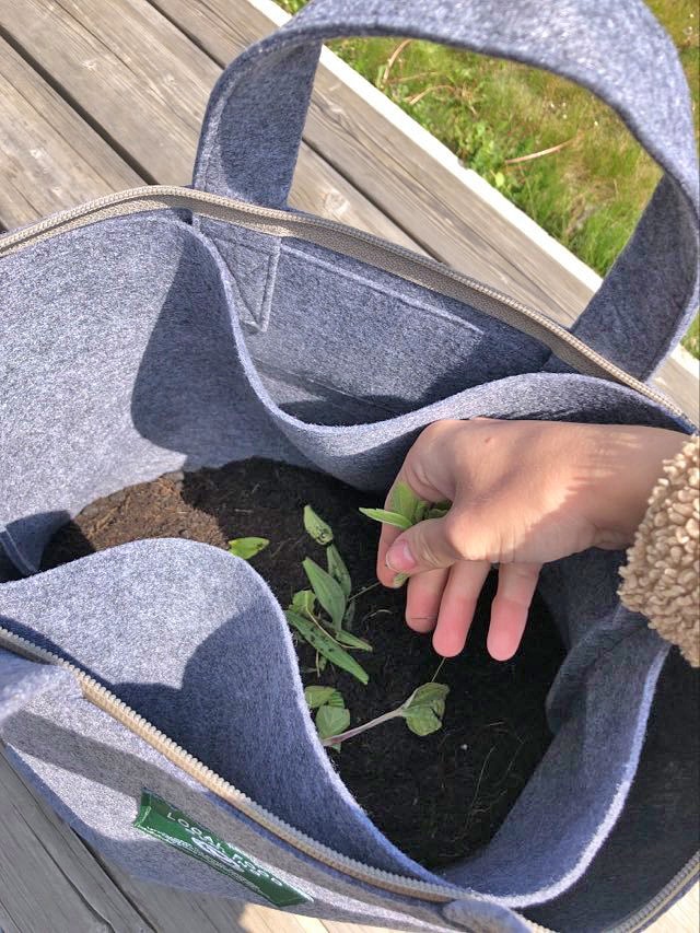 Sac de substrat 15L – Image 3