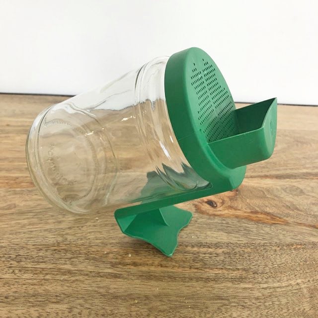 Germoir bocal – Image 2