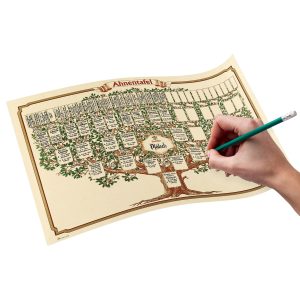 Grand Arbre Généalogique – Format 700 x 500