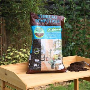 Furnure organique Terrau