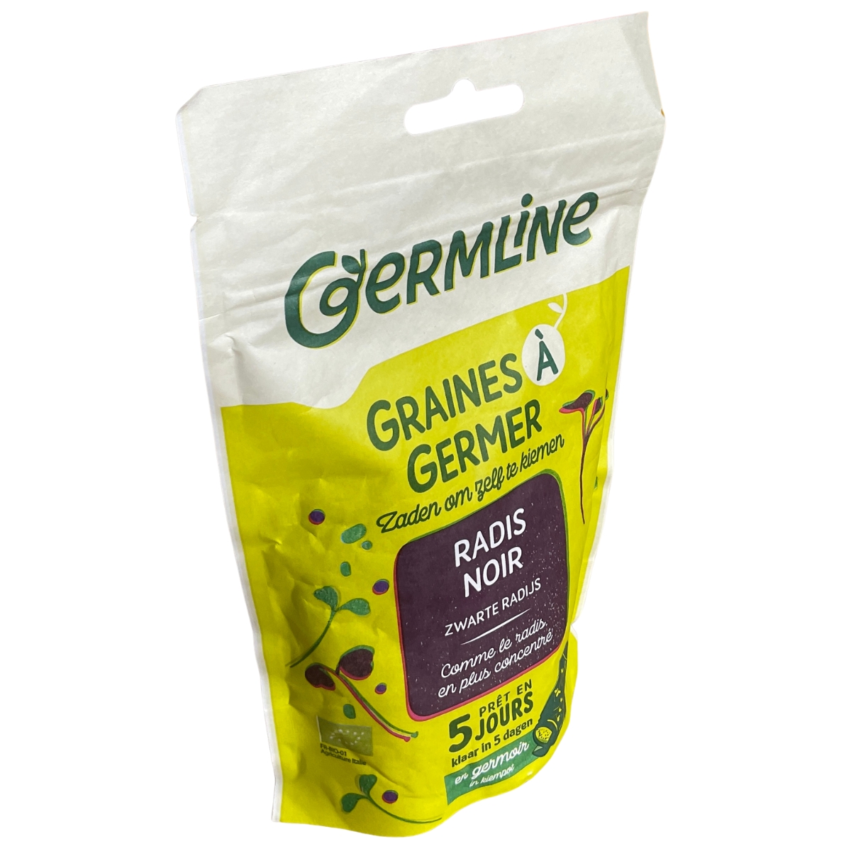 Graine à Germer – Radis Noir – Image 2