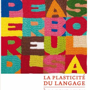La plasticité du langage