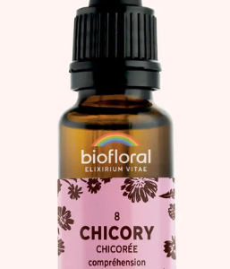 8 – Chicory Chicorée 20 ml
