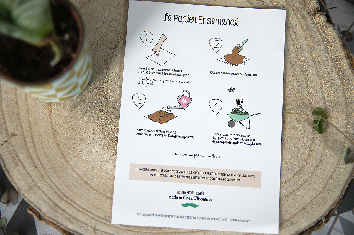 Carte à planter : Bienvenue Petit chat – Image 3