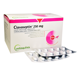 CLAVASEPTIN Antibiotique generale pour chiens et chats