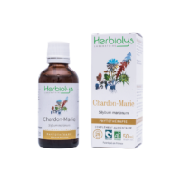 Teinture mère de Chardon-Marie