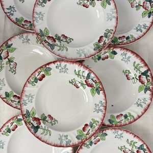 10 assiettes creuses Longwy Montmorency