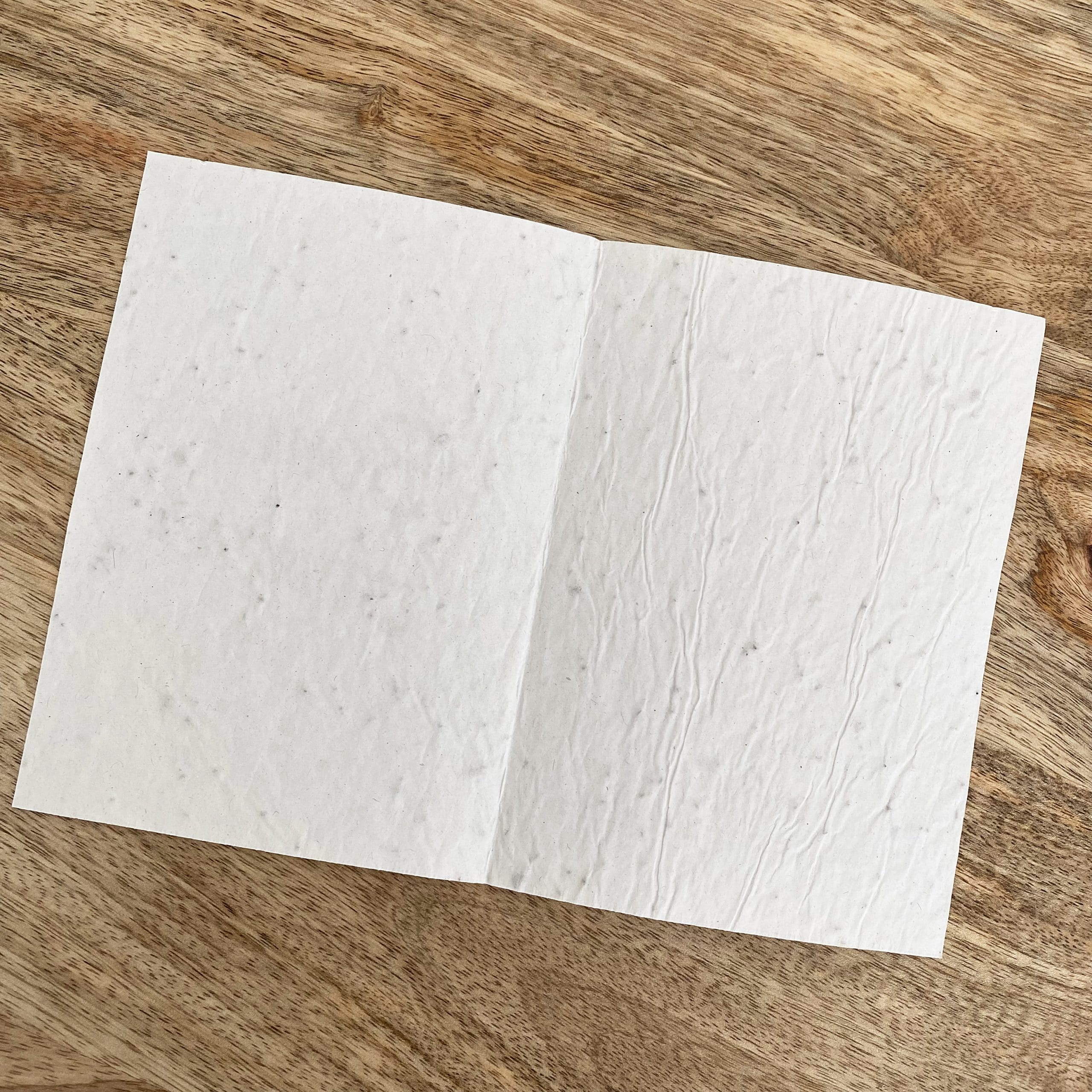 Mon papier cadeau ensemencé à planter – Image 4