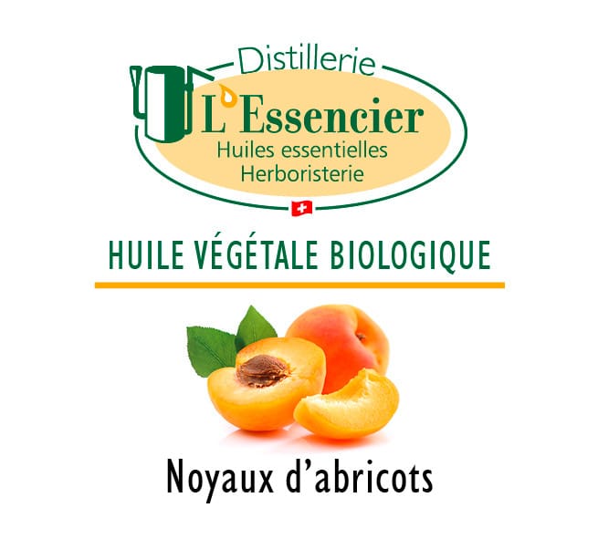 Huile végétale de Noyaux d’Abricots BIO