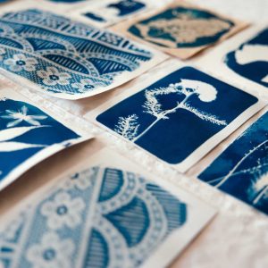 Créez une œuvre végétale unique dans un atelier cyanotype
