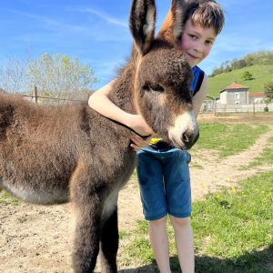 Inscrivez votre enfant à un atelier savon au lait d&rsquo;ânesse !