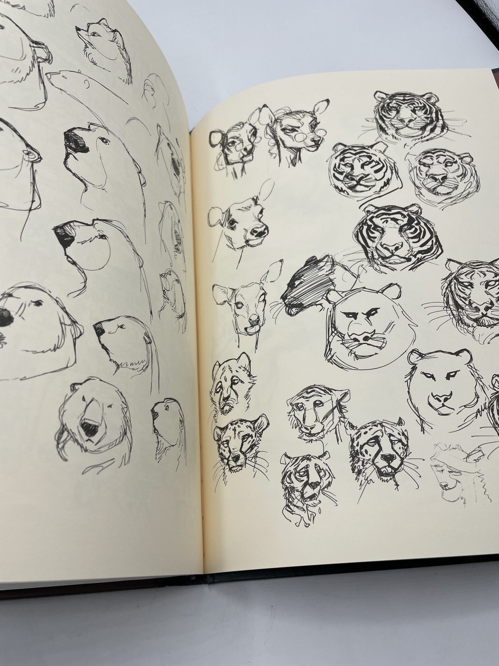 Bande dessinée Blacksad Tome 0 Blacksad l’intégrale édition limitée – Image 3