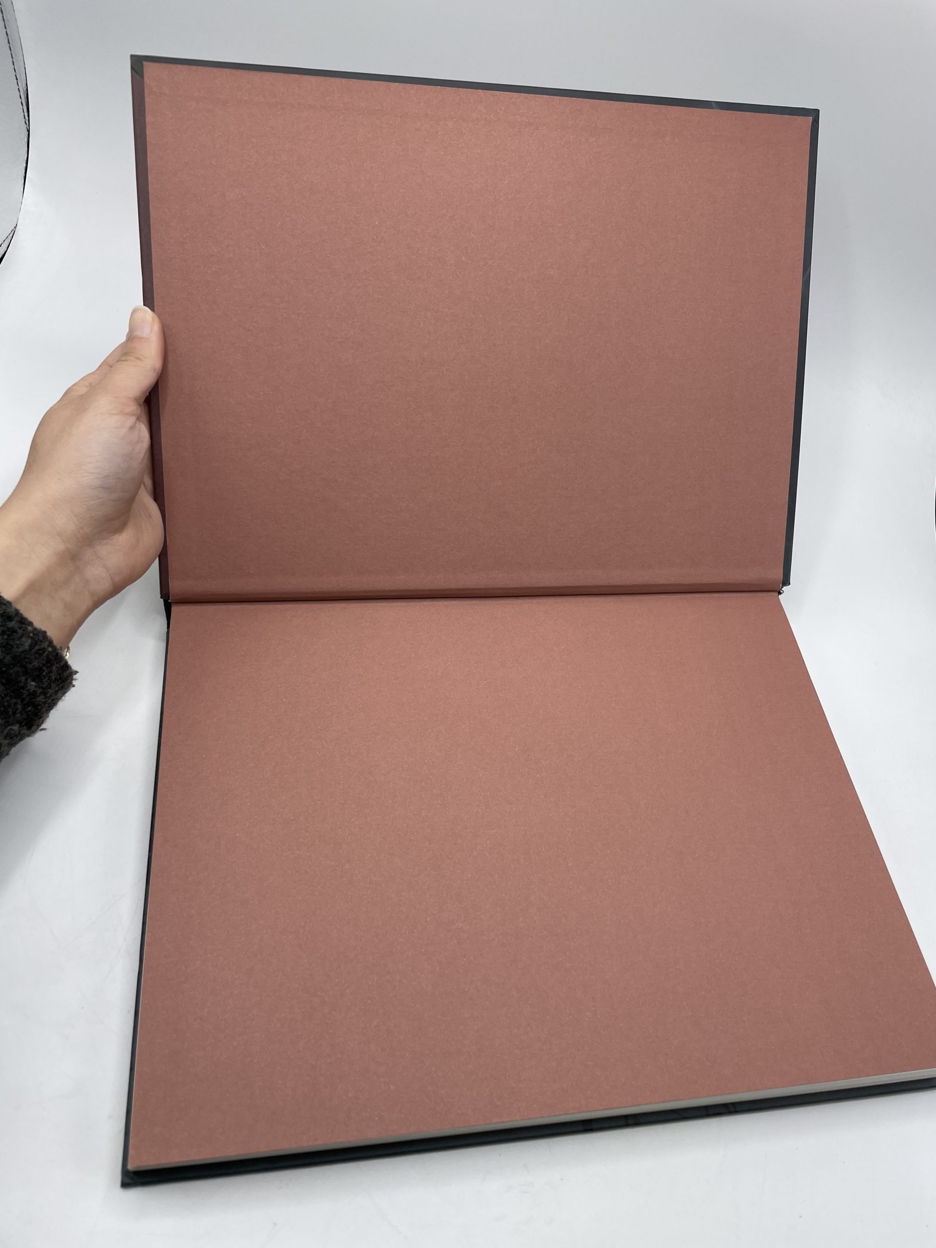 Bande dessinée Blacksad Tome 0 Blacksad l’intégrale édition limitée – Image 2