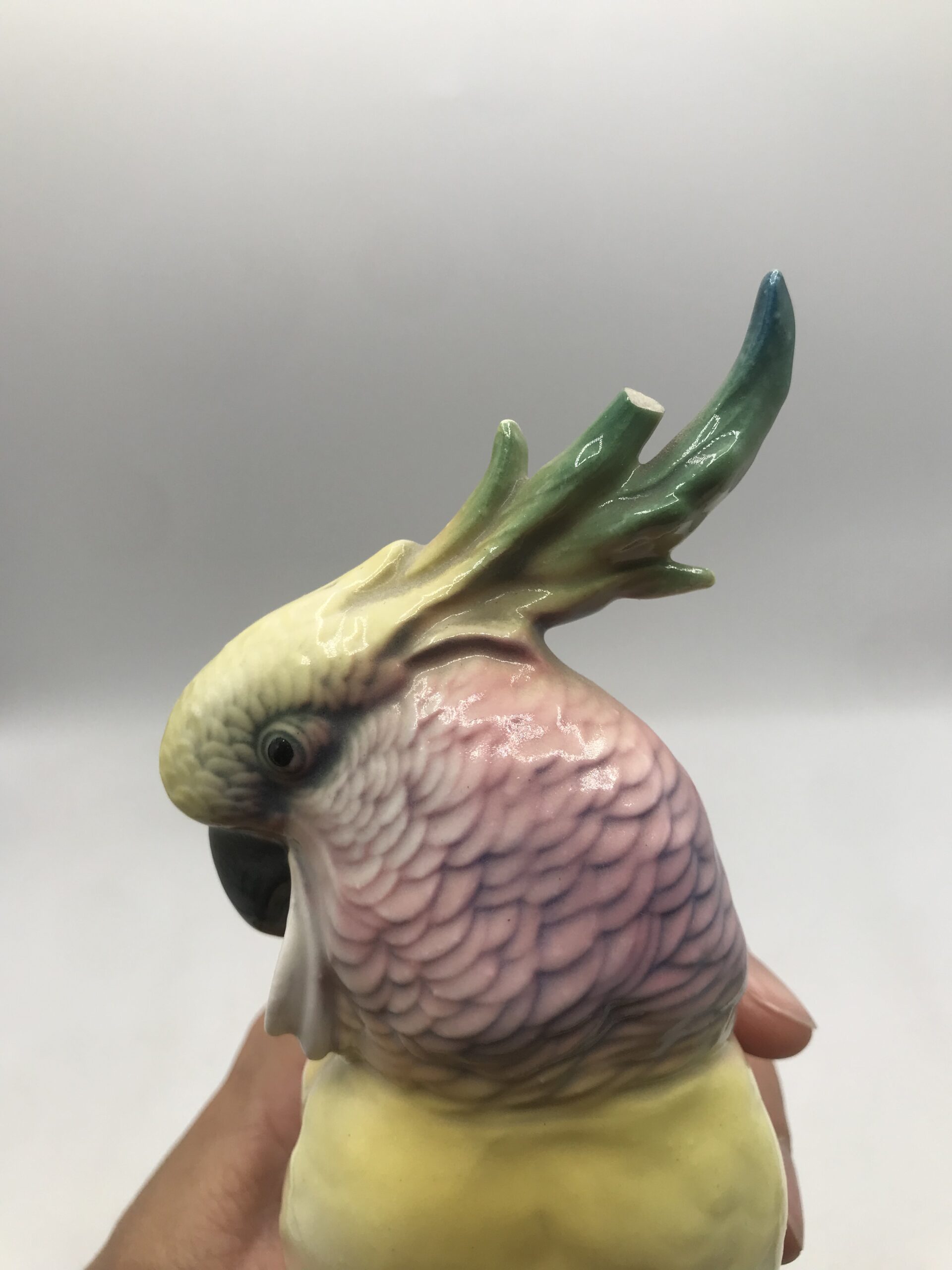 Duo de cacatoès Karl Ens 1930 – Image 7