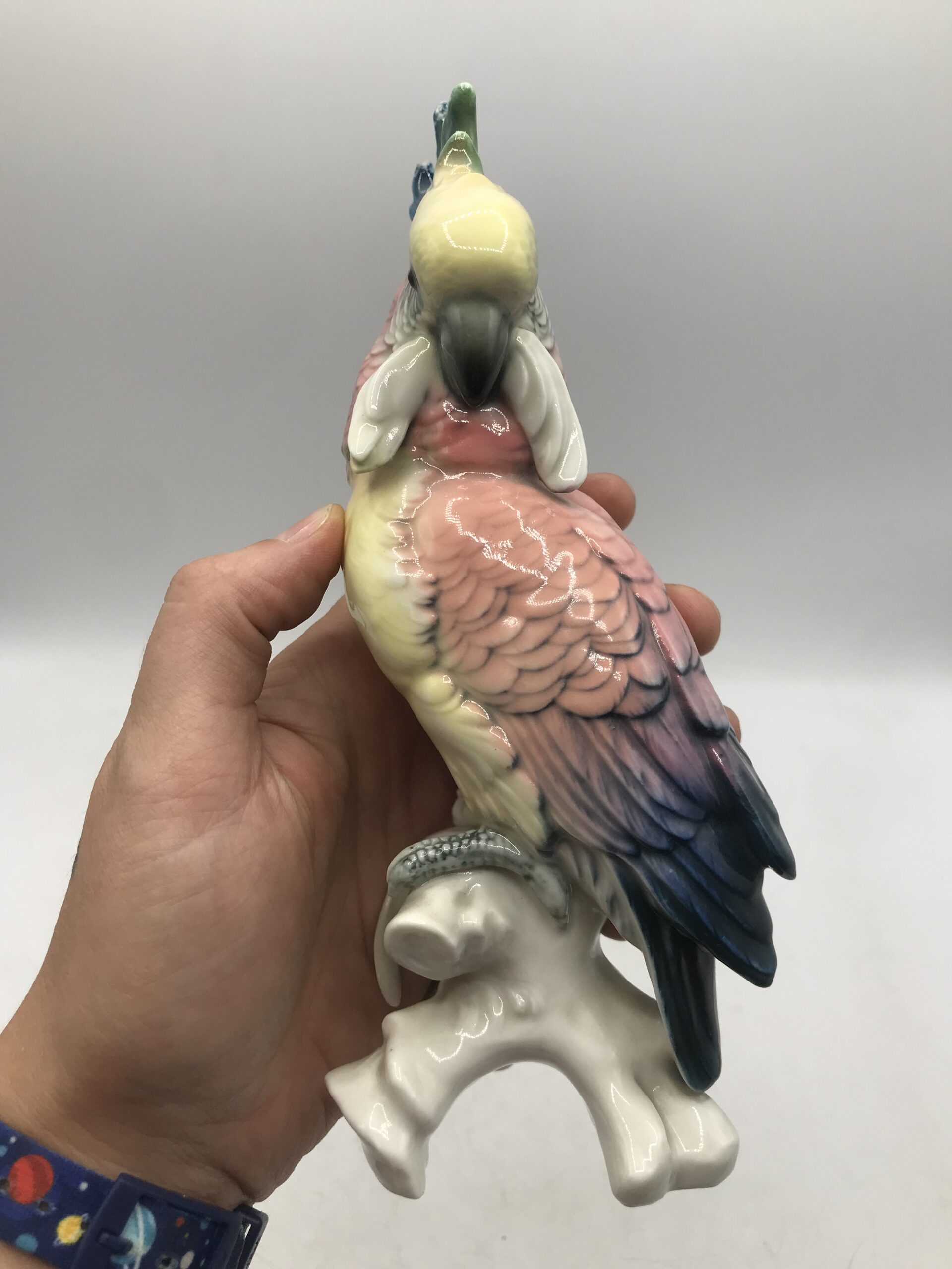 Duo de cacatoès Karl Ens 1930 – Image 8