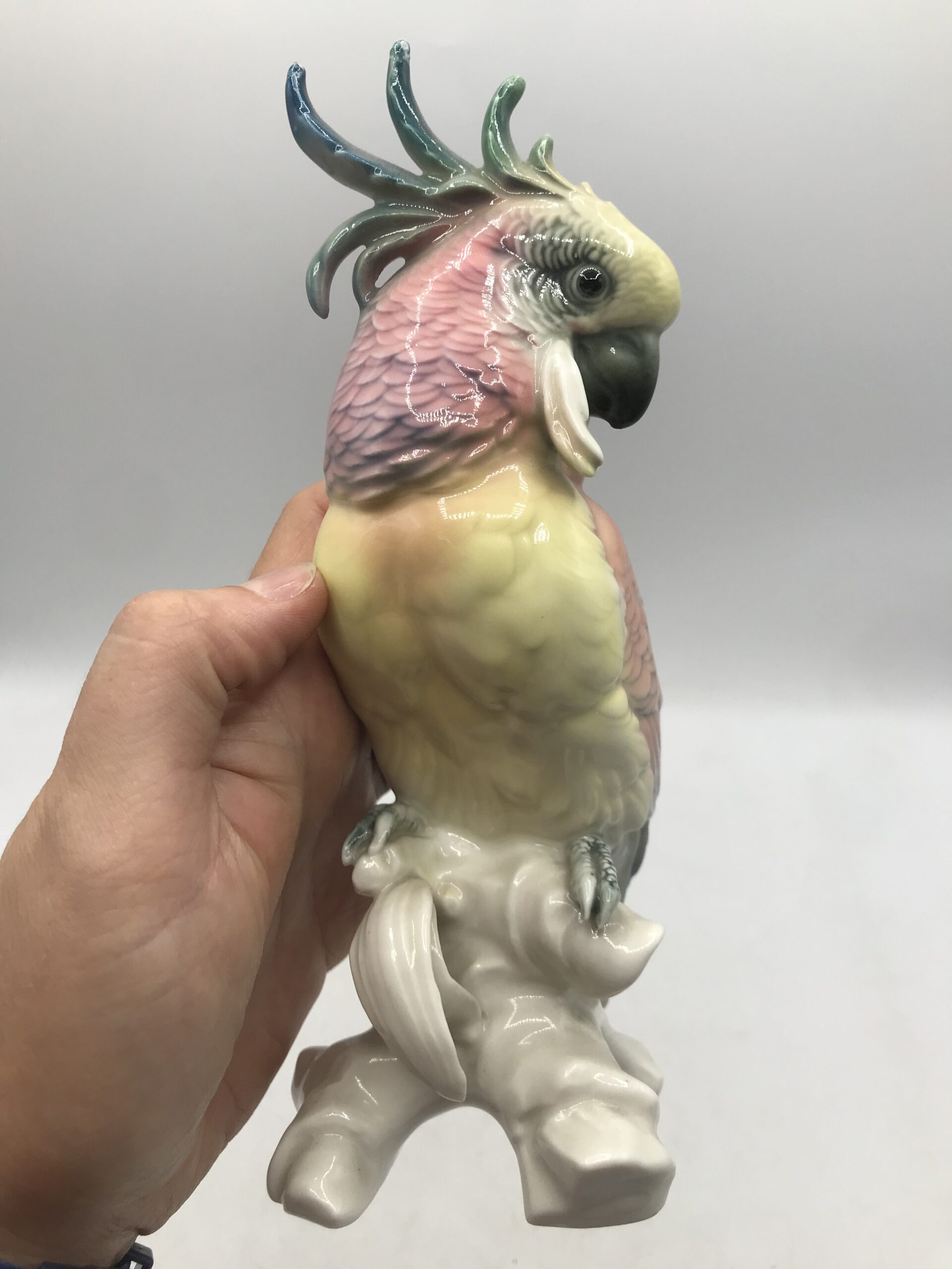 Duo de cacatoès Karl Ens 1930 – Image 9