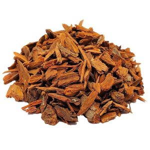 Écorce de quinquina rouge (Cinchona-officinalis)