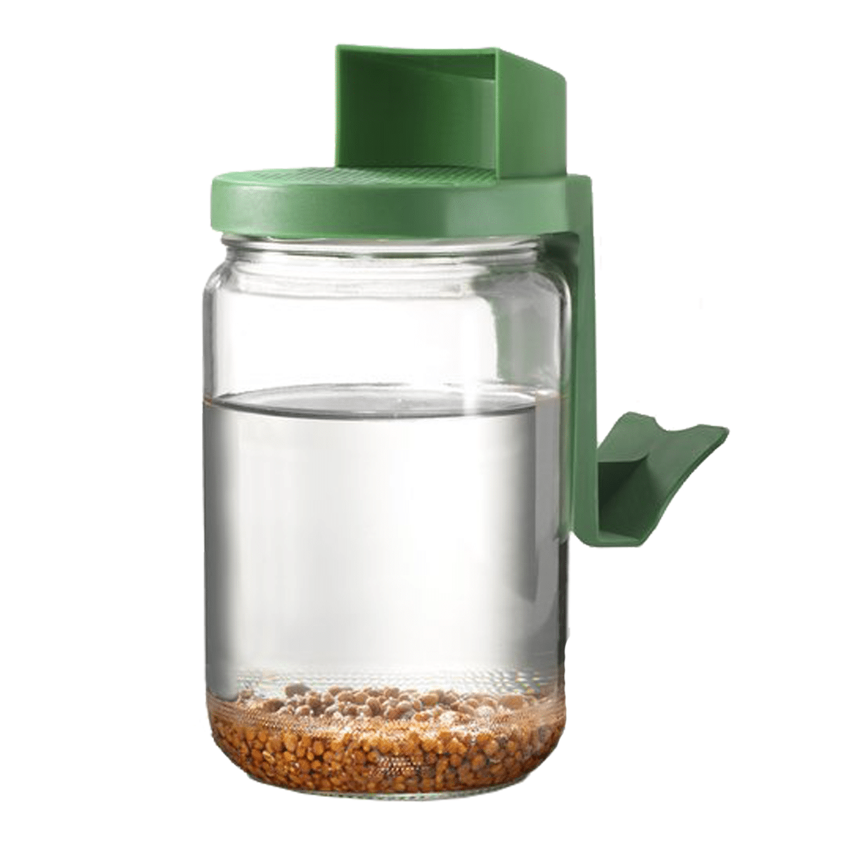 Germoir bocal – Image 5