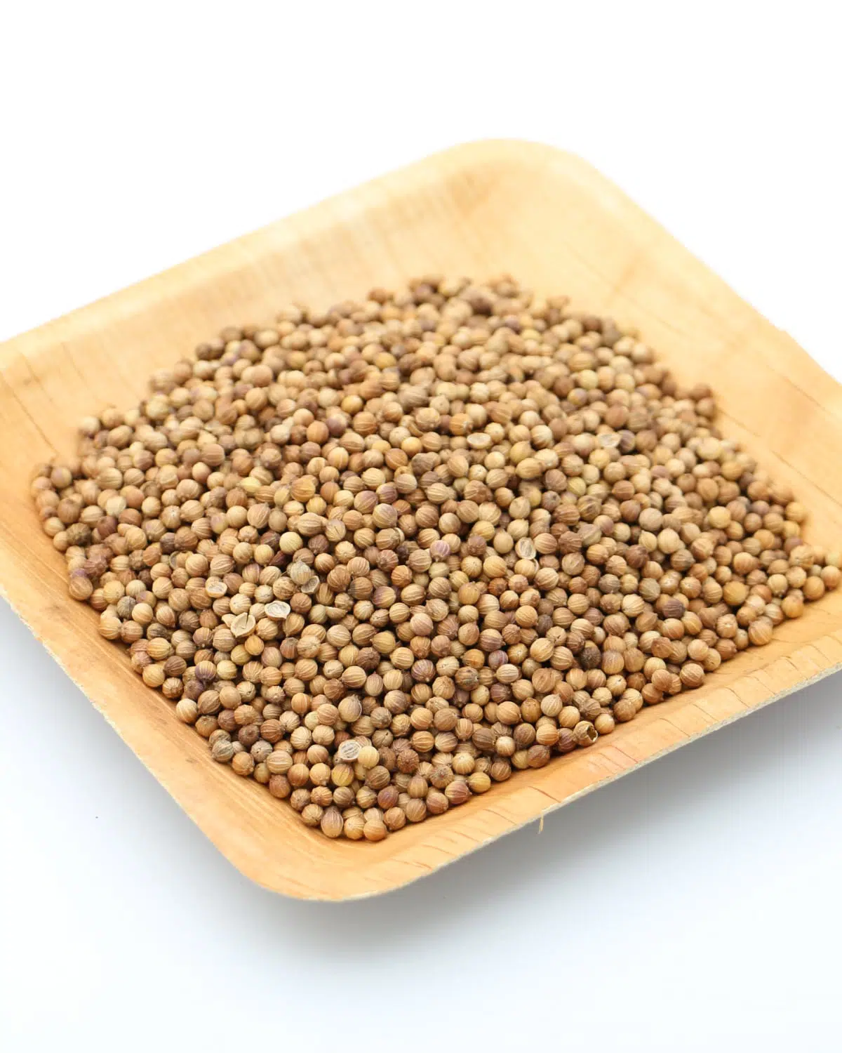 Coriandre en graines