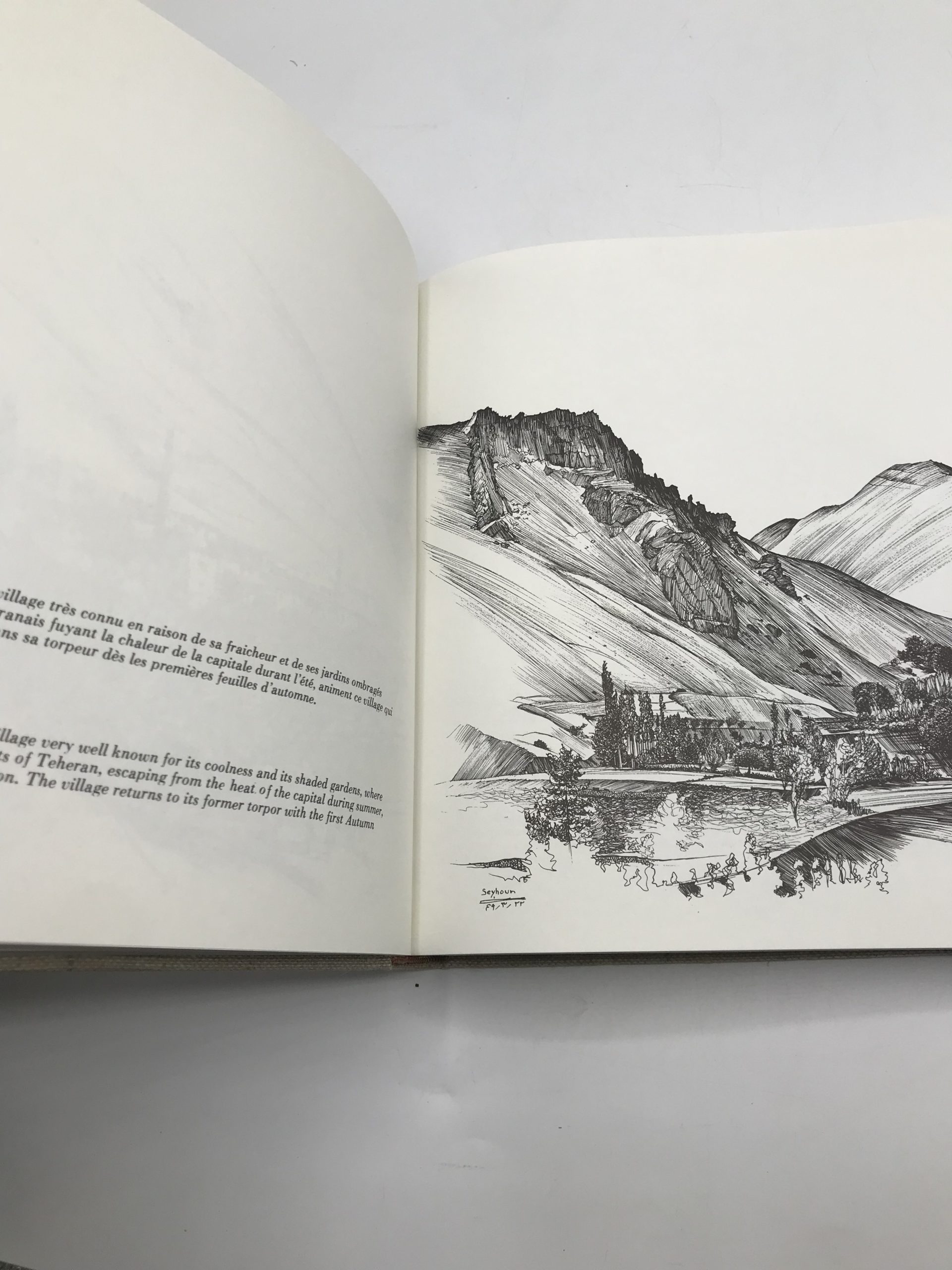 Livre Regards sur l’Iran Houchang Seyhoun – Image 3