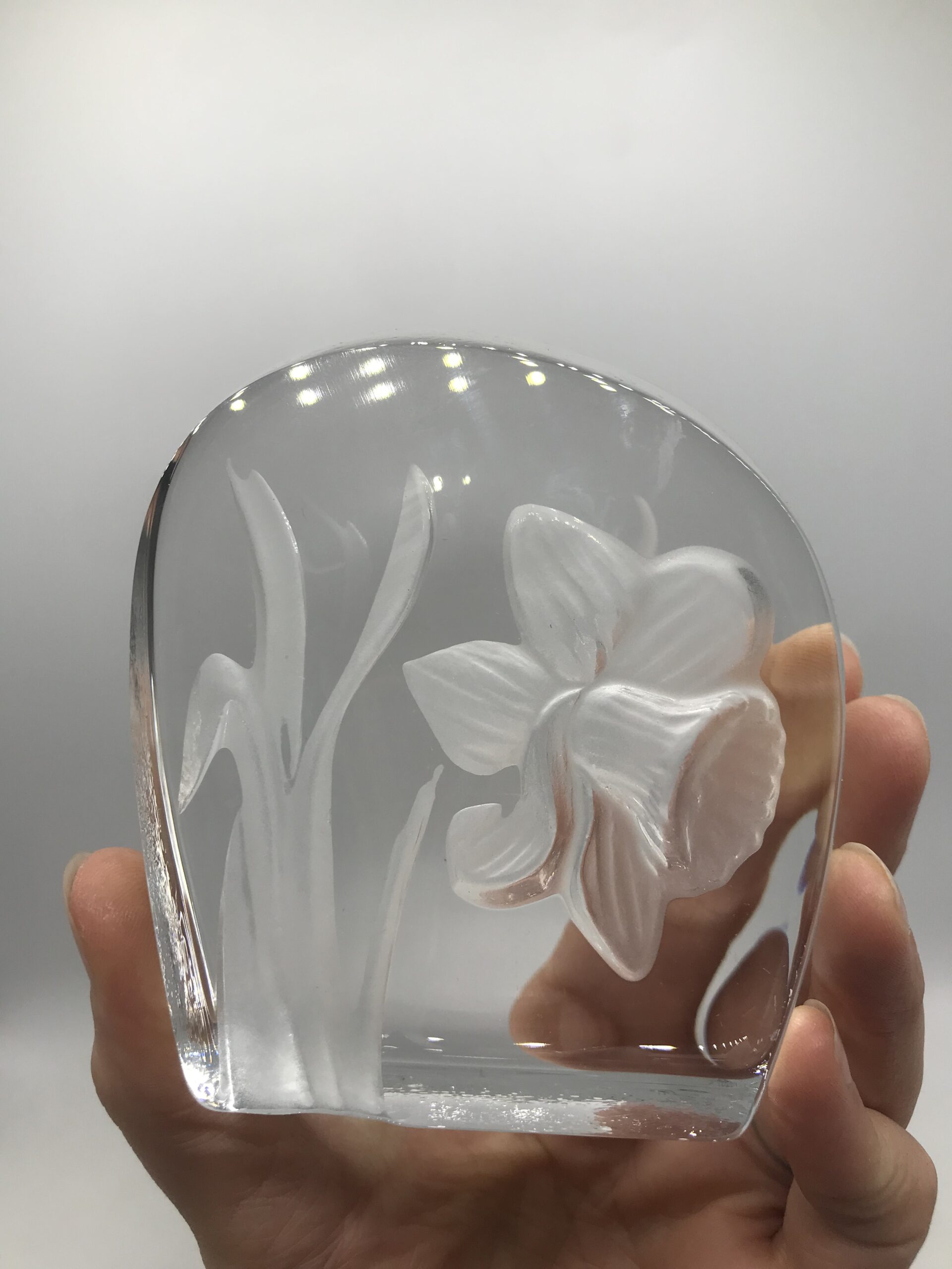 Duo de Cristal d’Arques – Image 9