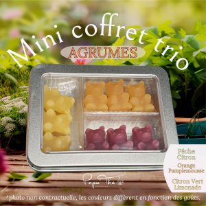 Mini TRIO AGRUMES: oursons infusions