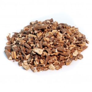 Pissenlit – racine