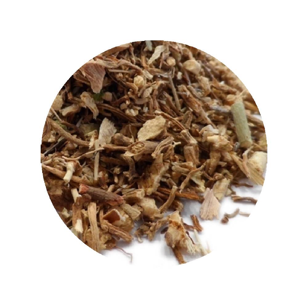 Racines de Fragon Petit Houx en vrac – les 2kgs