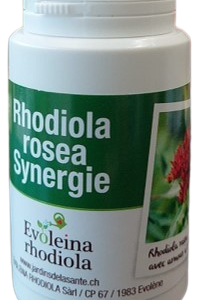 Rhodiola rosea Synergie