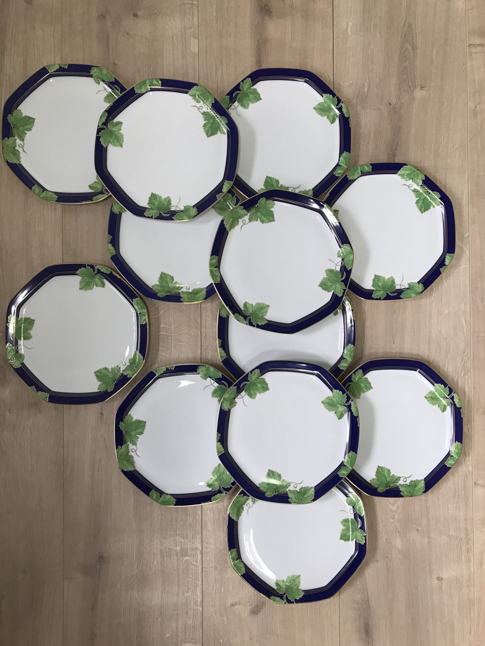 Service 12 assiettes à dessert « Jardin d’hiver »