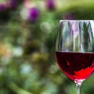 Saint Amour – La gagère – Cocagne – Magnum