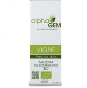 Bourgeon de Vigne 50ml